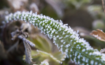 Enyhít szorításán a fagy és többfelé várható csapadék a hétvégén