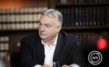 Orbán Viktor: Személyes kedvencem a Vadhajtások